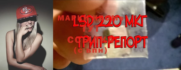 прущие грибы Баксан