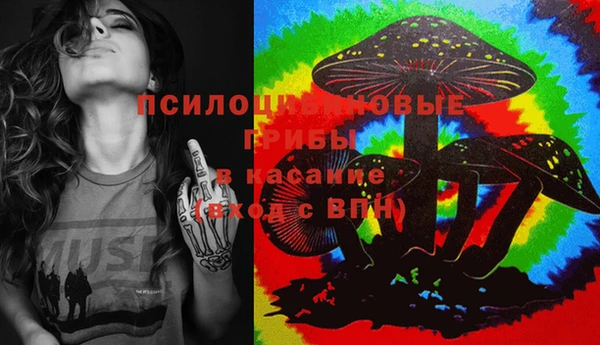 прущие грибы Баксан