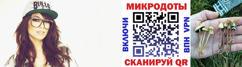Псилоцибиновые грибы Cubensis  Новоалтайск 
